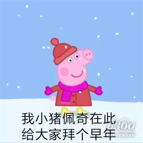 如何确保挖掘机安全过年